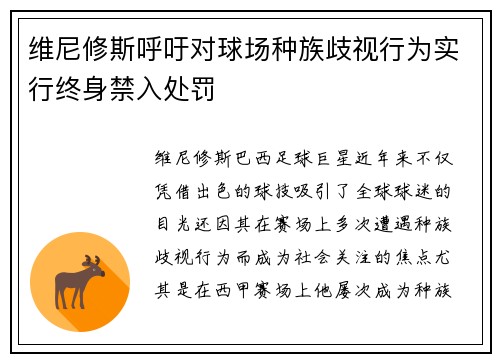 维尼修斯呼吁对球场种族歧视行为实行终身禁入处罚